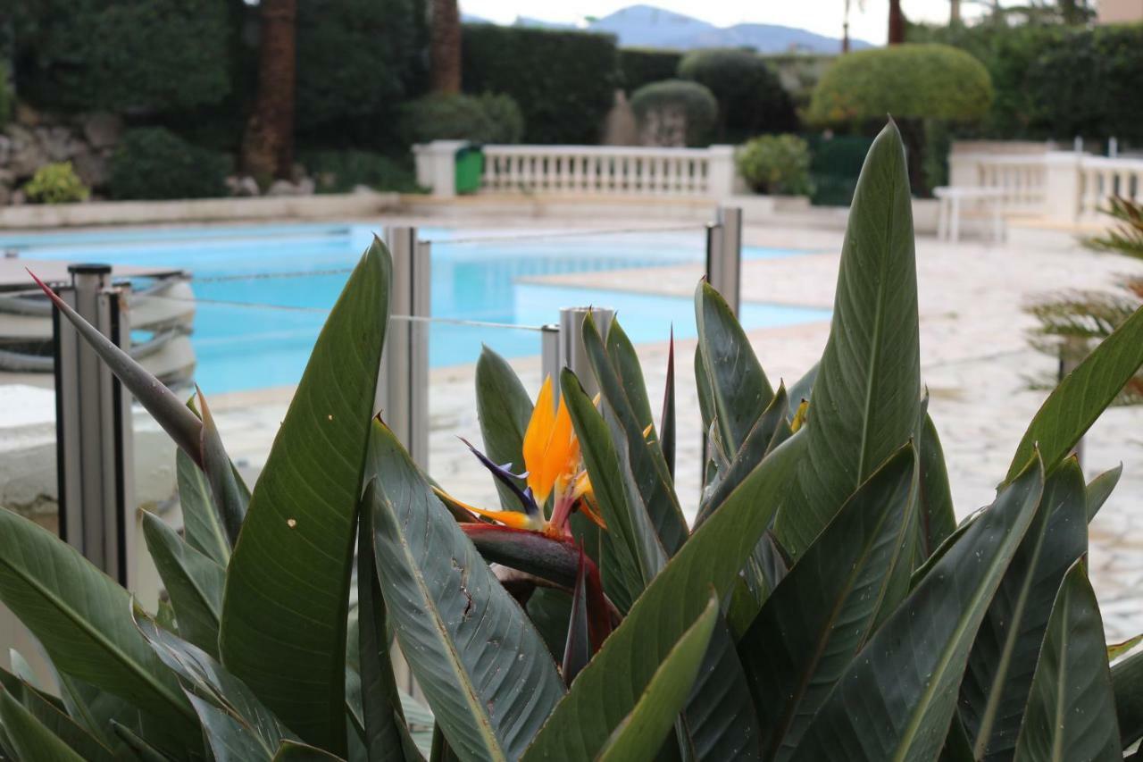 Appartement Palm D'Azur Cannes Buitenkant foto